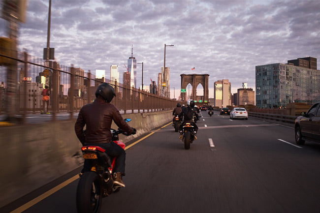 Photo Gallery: Poke The Bear